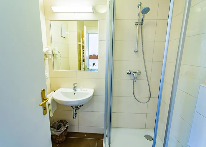 Soldanella 6 By Alpenidyll * Рамзау